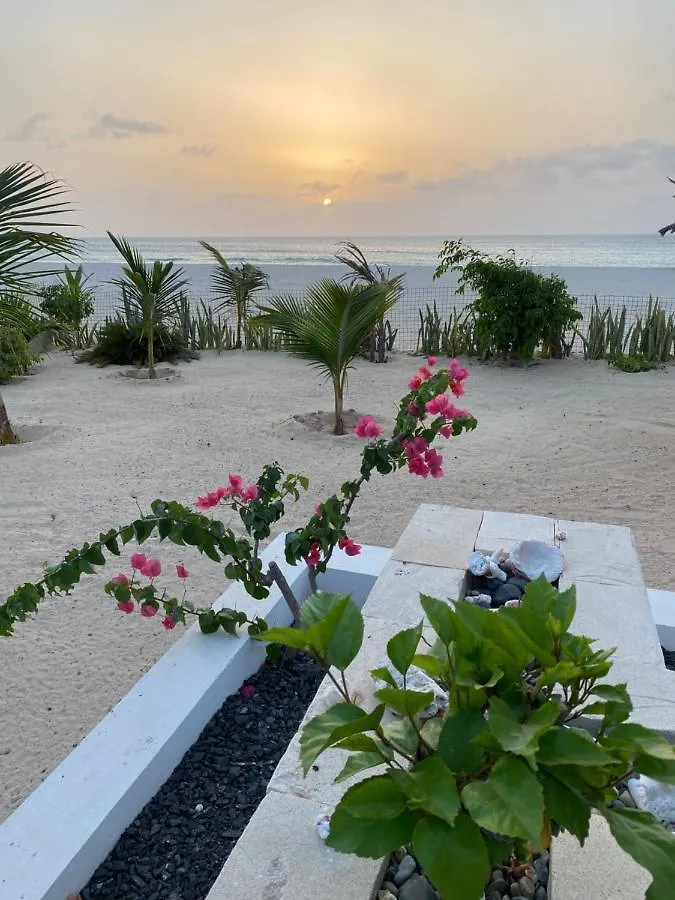 Villa Alfredo Marchetti Nº13 A Suites On The Beach, Praia De Chaves, Boa Vista Rabil 0*,