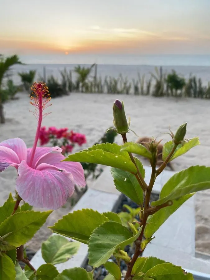 Villa Alfredo Marchetti Nº13 A Suites On The Beach, Praia De Chaves, Boa Vista Rabil Guest house